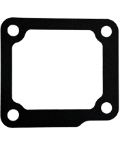 Intake Gaskets 1